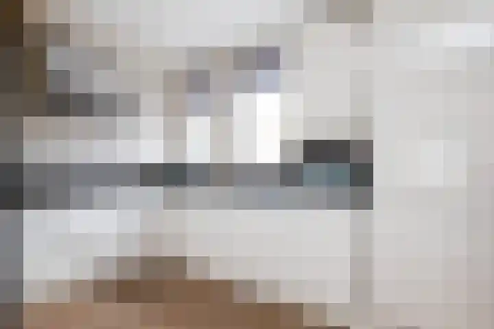 Dovenetel 46 Zwaag thumbnail 22