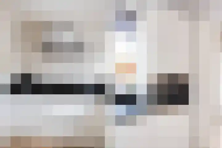 Dovenetel 46 Zwaag thumbnail 23