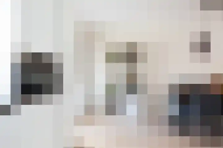 Dovenetel 46 Zwaag thumbnail 24