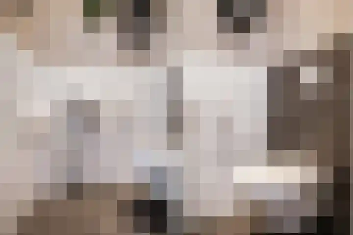 Dovenetel 46 Zwaag thumbnail 26