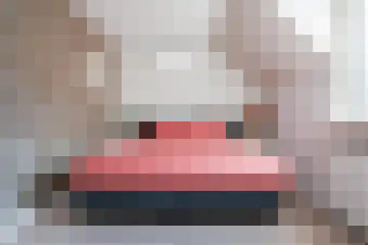 Dovenetel 46 Zwaag thumbnail 29