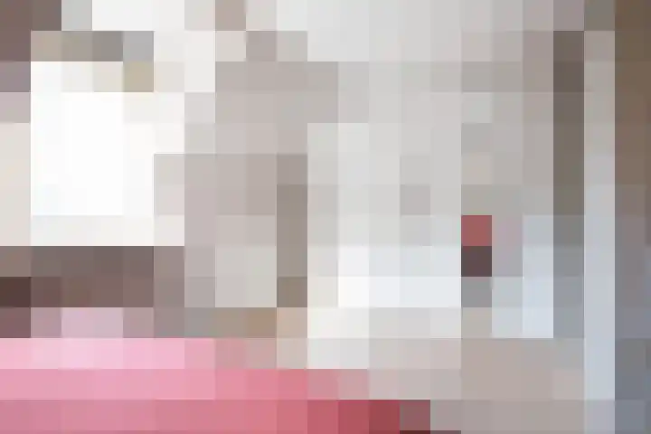 Dovenetel 46 Zwaag thumbnail 31