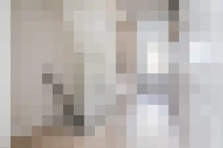 Dovenetel 46 Zwaag thumbnail 32