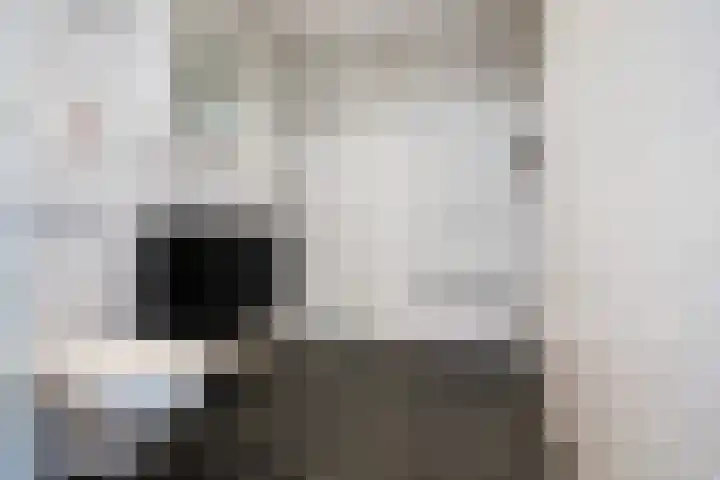 Dovenetel 46 Zwaag thumbnail 33