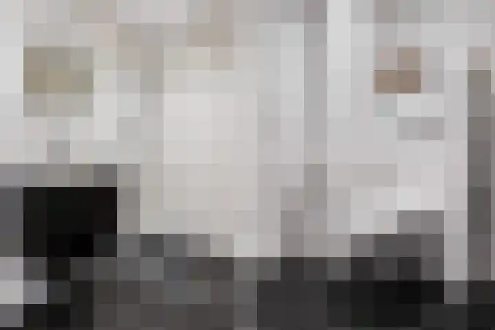 Dovenetel 46 Zwaag thumbnail 34