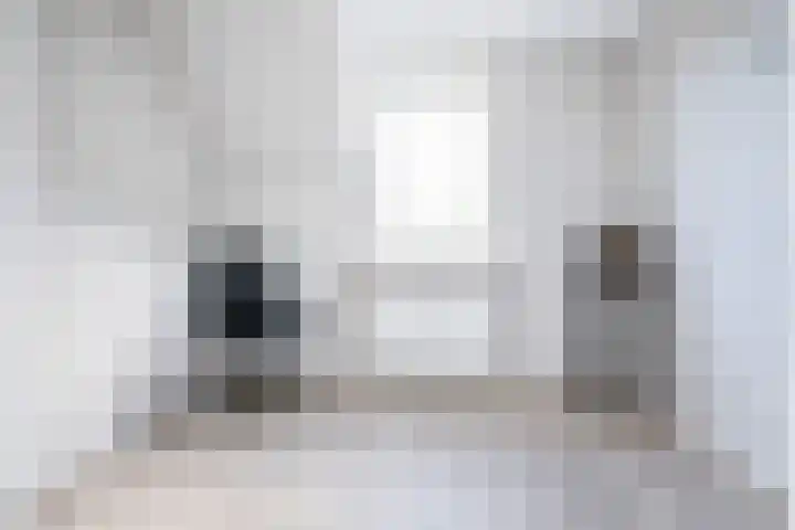Dovenetel 46 Zwaag thumbnail 37