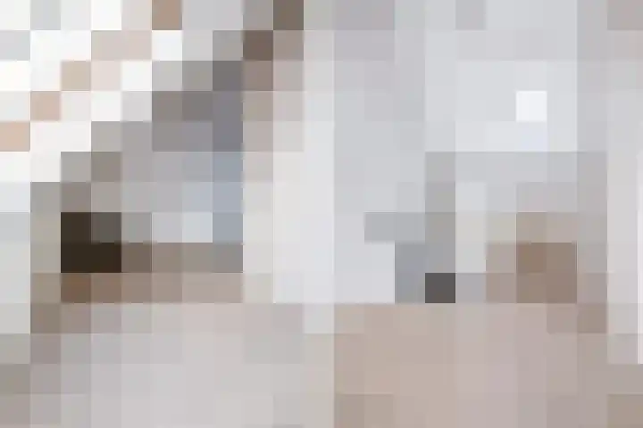 Dovenetel 46 Zwaag thumbnail 38