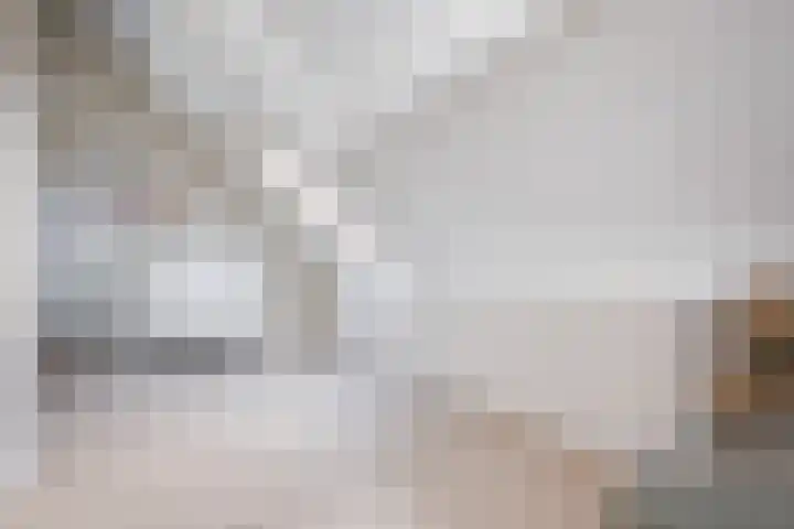 Dovenetel 46 Zwaag thumbnail 39