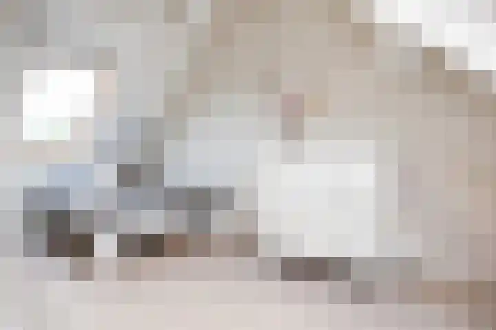 Dovenetel 46 Zwaag thumbnail 40