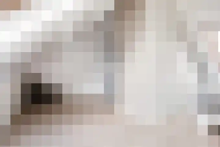 Dovenetel 46 Zwaag thumbnail 41