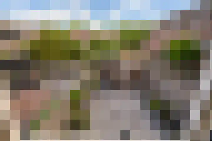 Dovenetel 46 Zwaag thumbnail 42