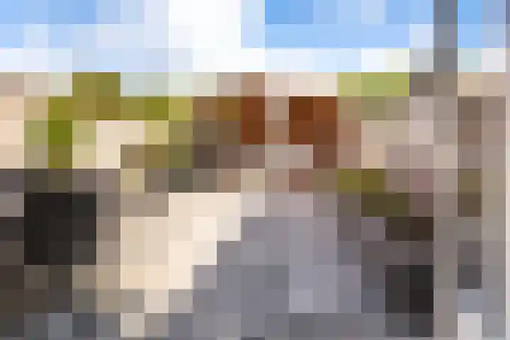 Dovenetel 46 Zwaag thumbnail 43