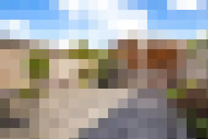 Dovenetel 46 Zwaag thumbnail 44