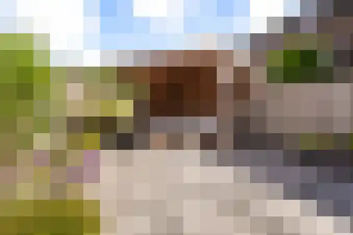 Dovenetel 46 Zwaag thumbnail 45