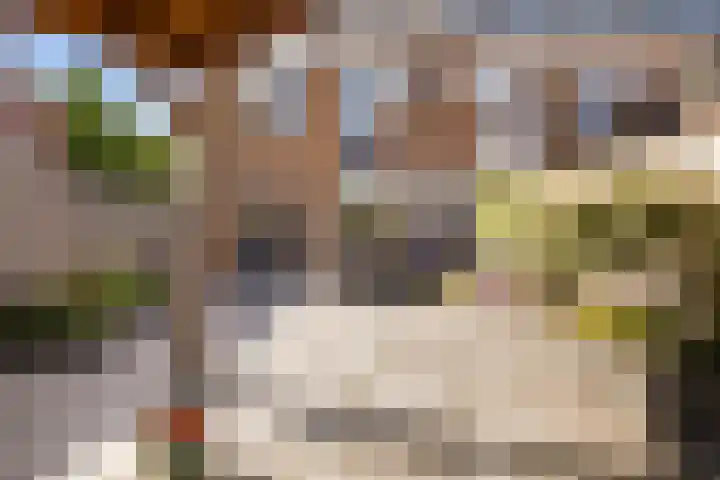 Dovenetel 46 Zwaag thumbnail 47
