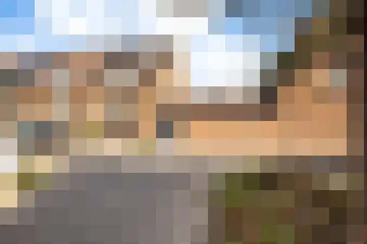 Dovenetel 46 Zwaag thumbnail 8