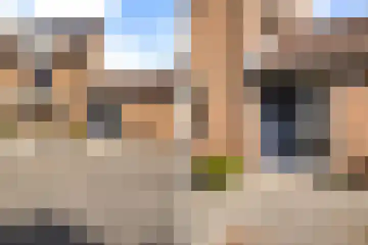Dovenetel 46 Zwaag thumbnail 9
