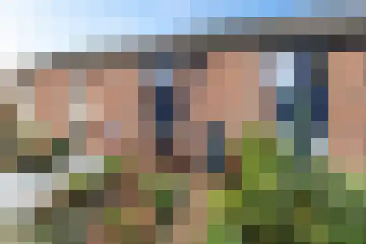 Dovenetel 5 Heerenveen
