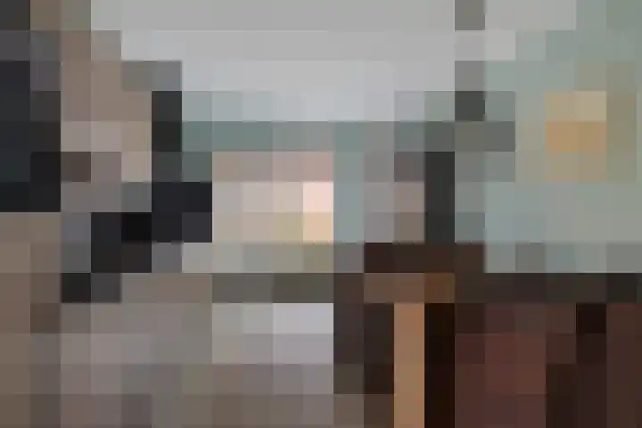 Dovenetel 5 Heerenveen thumbnail 11