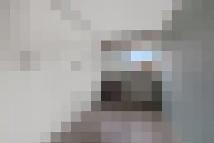 Dovenetel 5 Heerenveen thumbnail 21