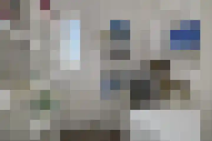 Dovenetel 5 Heerenveen thumbnail 25