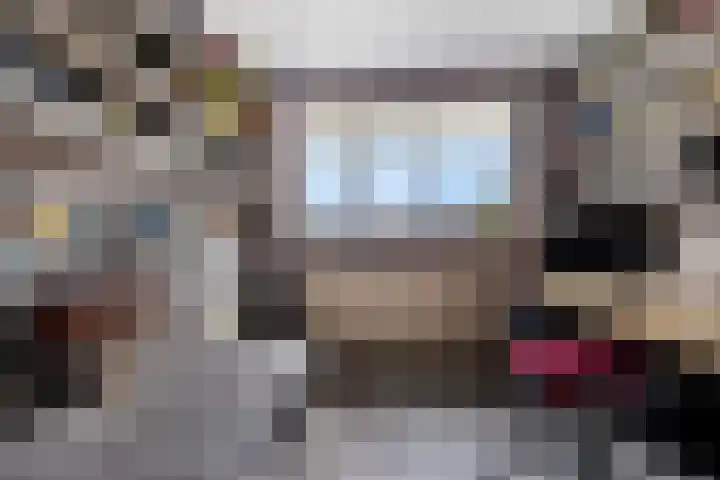 Dovenetel 5 Heerenveen thumbnail 26