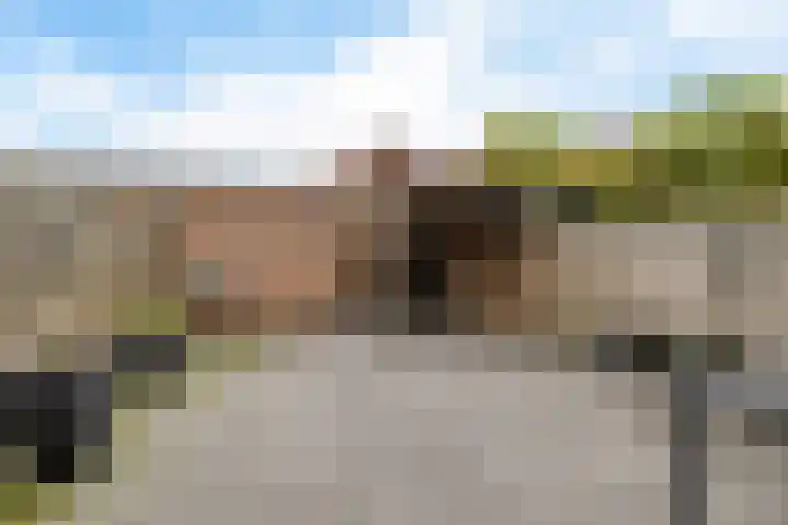 Dovenetel 5 Heerenveen thumbnail 28