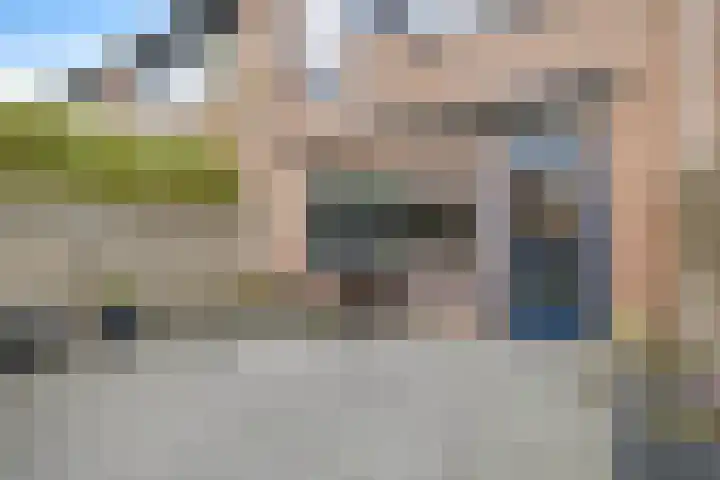 Dovenetel 5 Heerenveen thumbnail 29