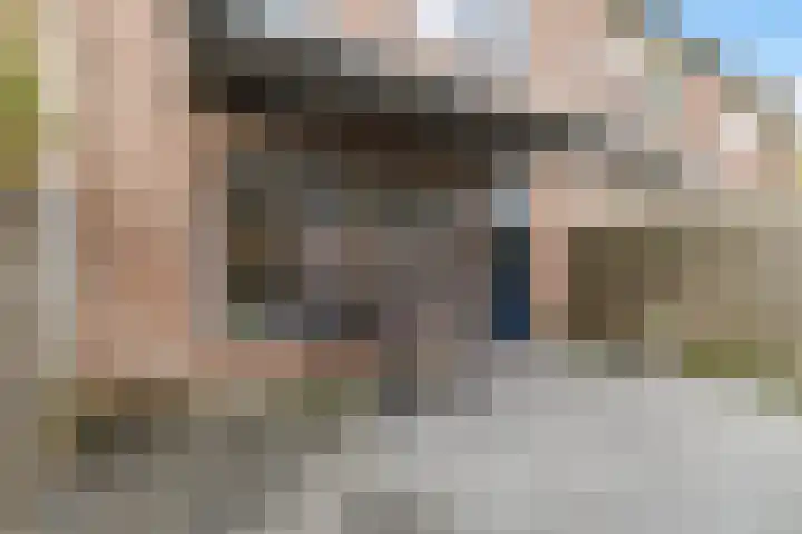 Dovenetel 5 Heerenveen thumbnail 30
