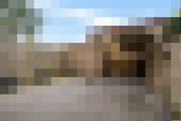 Dovenetel 5 Heerenveen thumbnail 31
