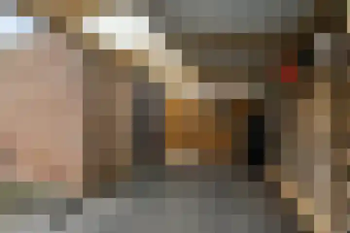 Dovenetel 5 Heerenveen thumbnail 32