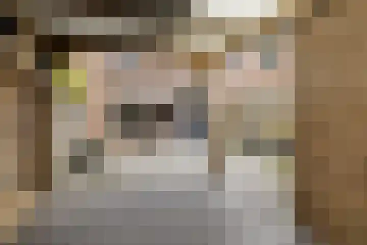 Dovenetel 5 Heerenveen thumbnail 33