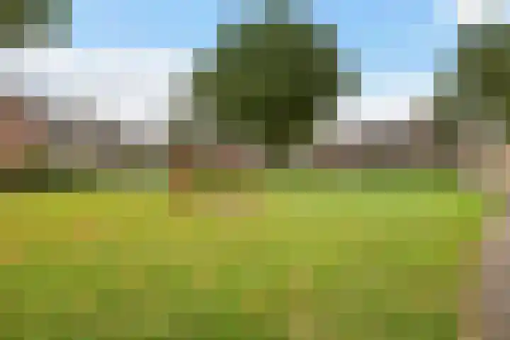 Dovenetel 5 Heerenveen thumbnail 35