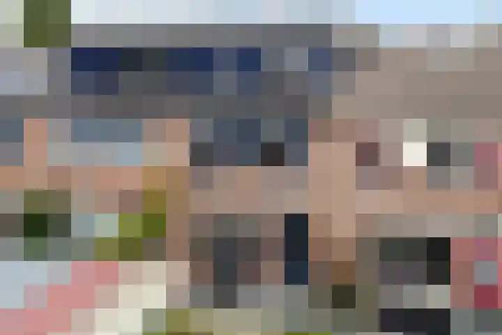 Dovenetel 5 Heerenveen thumbnail 36