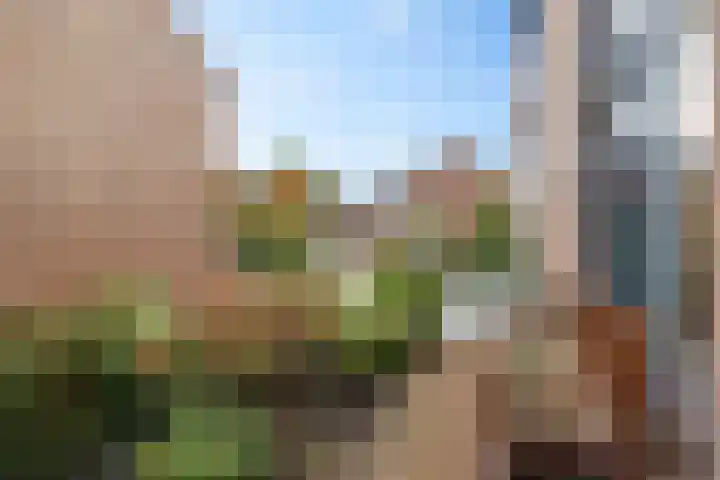 Dovenetel 5 Heerenveen thumbnail 37