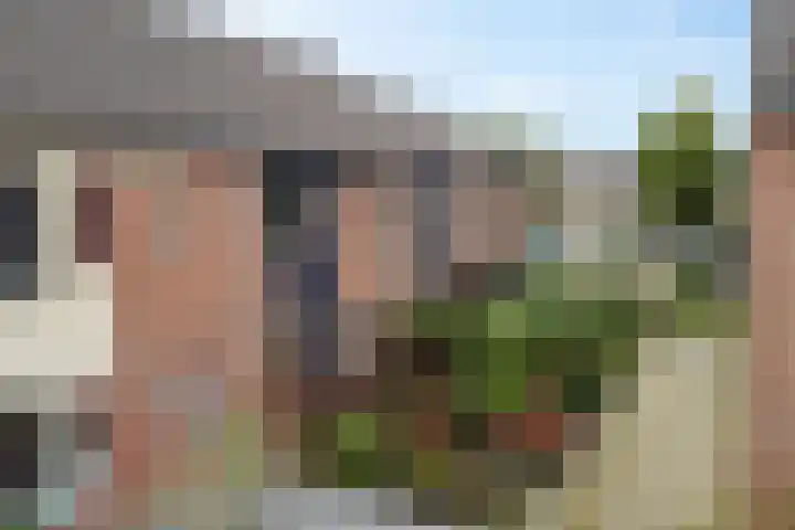 Dovenetel 5 Heerenveen thumbnail 38