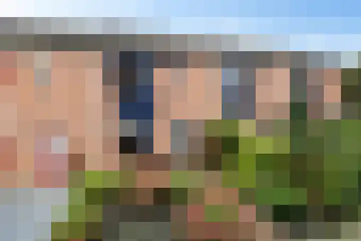 Dovenetel 5 Heerenveen thumbnail 39