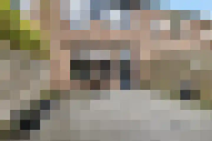 Dovenetel 5 Heerenveen thumbnail 4