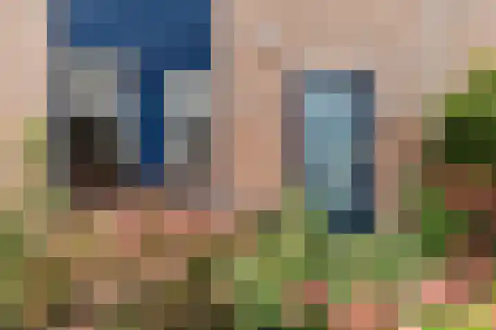 Dovenetel 5 Heerenveen thumbnail 5