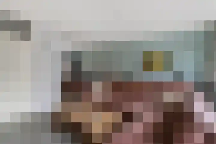 Dovenetel 5 Heerenveen thumbnail 9