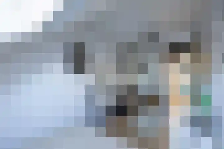 Dovenetel 5 Venray thumbnail 15
