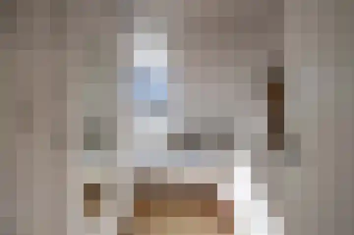 Dovenetel 5 Venray thumbnail 18