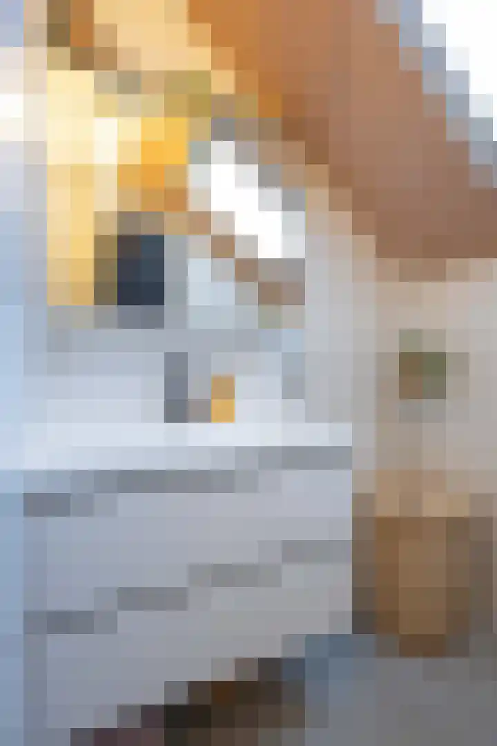 Dovenetel 5 Venray thumbnail 21