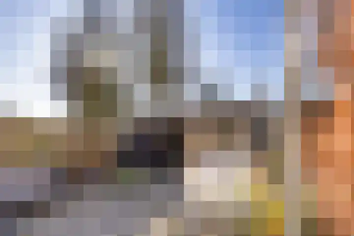 Dovenetel 5 Venray thumbnail 23