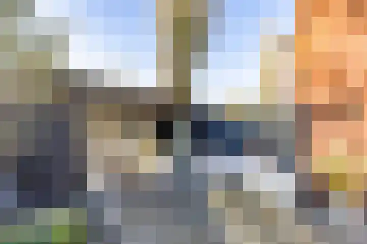 Dovenetel 5 Venray thumbnail 24