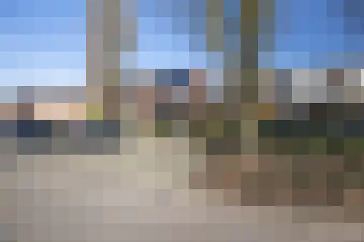 Dovenetel 5 Venray thumbnail 27
