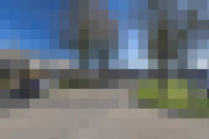Dovenetel 5 Venray thumbnail 28