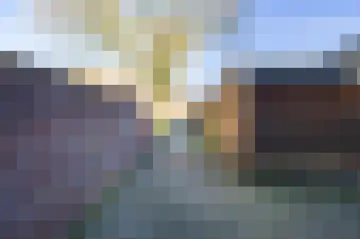 Dovenetel 5 Venray thumbnail 29