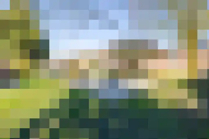 Dovenetel 5 Venray thumbnail 30