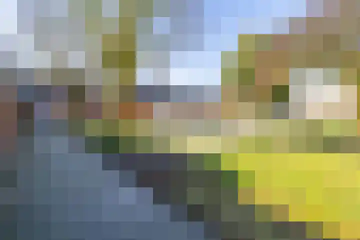 Dovenetel 5 Venray thumbnail 31
